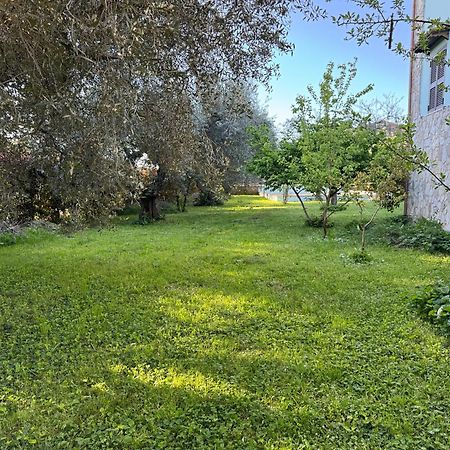 Vila La Piccola Provenza Fiano Romano Exteriér fotografie