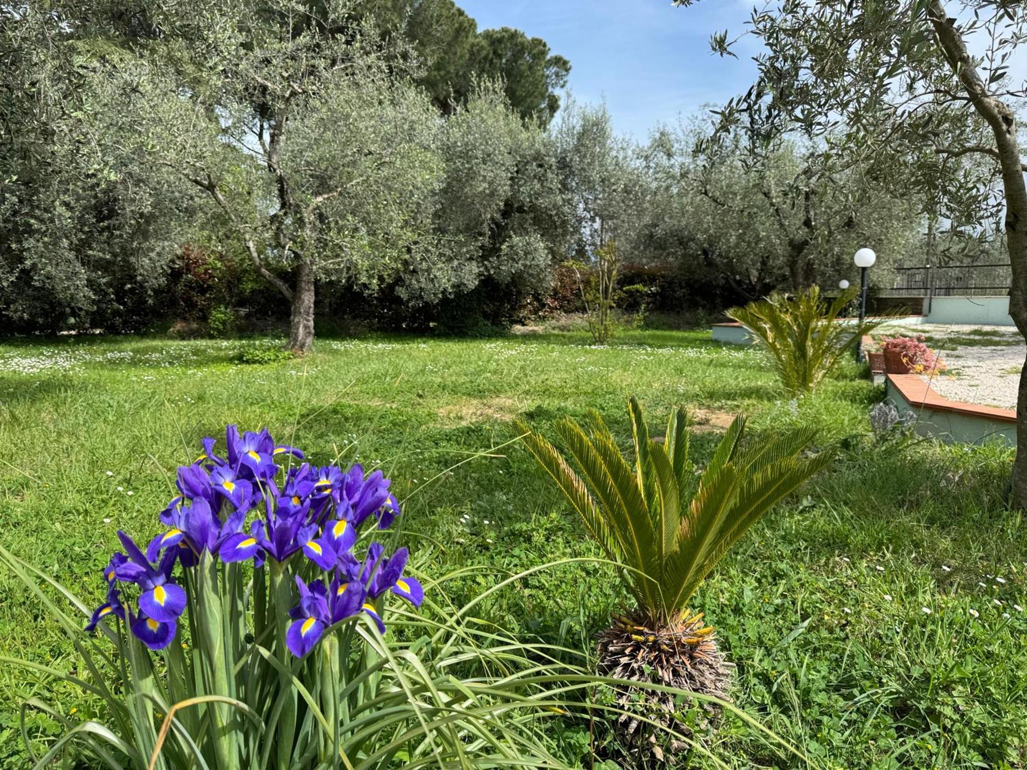 Vila La Piccola Provenza Fiano Romano Exteriér fotografie